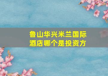 鲁山华兴米兰国际酒店哪个是投资方