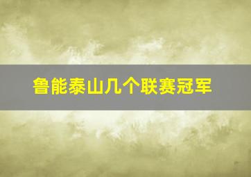 鲁能泰山几个联赛冠军