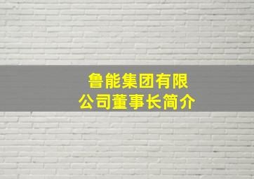 鲁能集团有限公司董事长简介