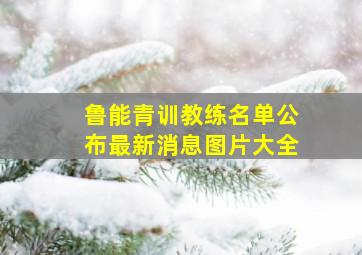 鲁能青训教练名单公布最新消息图片大全