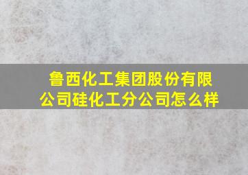 鲁西化工集团股份有限公司硅化工分公司怎么样