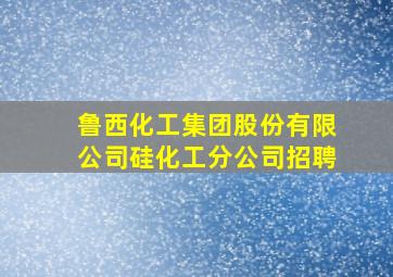 鲁西化工集团股份有限公司硅化工分公司招聘