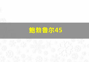 鲍勃鲁尔45