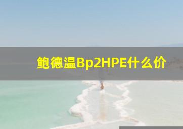 鲍德温Bp2HPE什么价