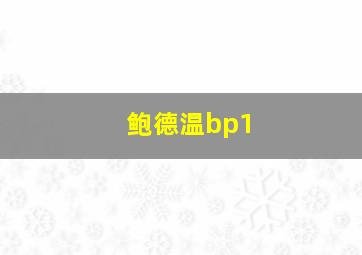 鲍德温bp1