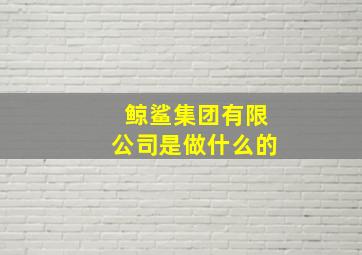 鲸鲨集团有限公司是做什么的