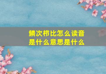 鳞次栉比怎么读音是什么意思是什么