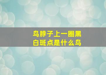 鸟脖子上一圈黑白斑点是什么鸟