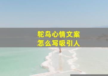 鸵鸟心情文案怎么写吸引人