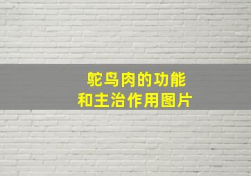 鸵鸟肉的功能和主治作用图片