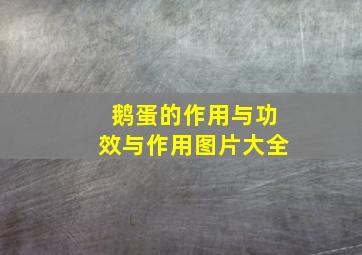 鹅蛋的作用与功效与作用图片大全