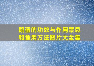 鹅蛋的功效与作用禁忌和食用方法图片大全集