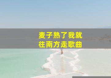 麦子熟了我就往南方走歌曲