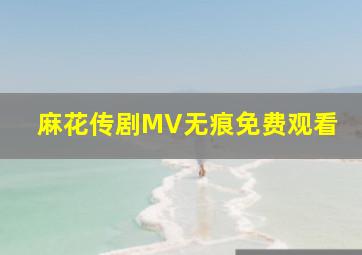 麻花传剧MV无痕免费观看