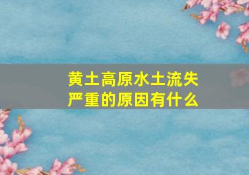 黄土高原水土流失严重的原因有什么