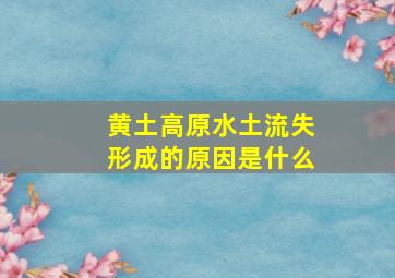 黄土高原水土流失形成的原因是什么