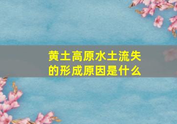 黄土高原水土流失的形成原因是什么