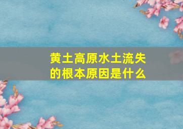 黄土高原水土流失的根本原因是什么