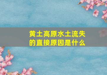 黄土高原水土流失的直接原因是什么