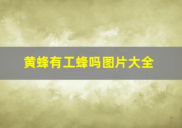 黄蜂有工蜂吗图片大全