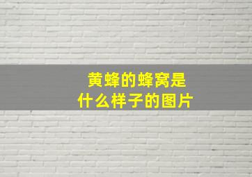 黄蜂的蜂窝是什么样子的图片