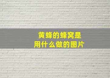 黄蜂的蜂窝是用什么做的图片