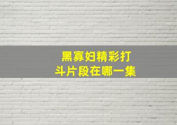 黑寡妇精彩打斗片段在哪一集