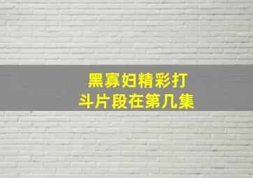 黑寡妇精彩打斗片段在第几集