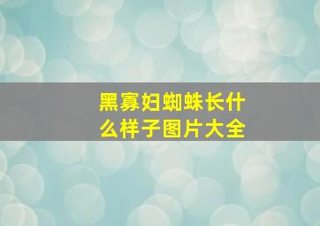 黑寡妇蜘蛛长什么样子图片大全