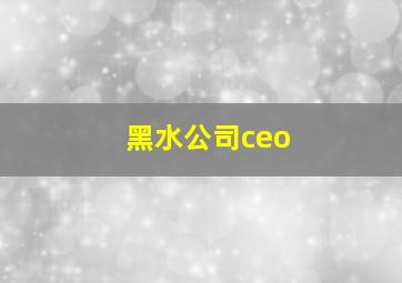 黑水公司ceo