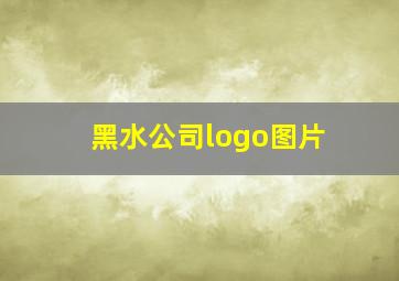 黑水公司logo图片