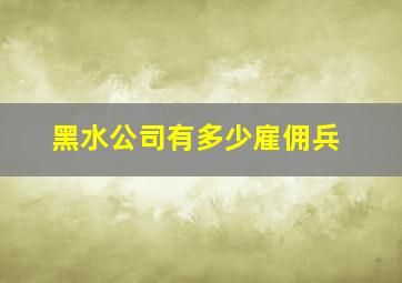 黑水公司有多少雇佣兵