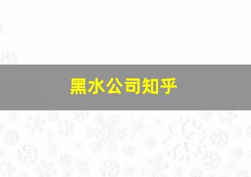 黑水公司知乎