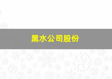 黑水公司股份