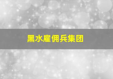 黑水雇佣兵集团