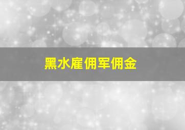 黑水雇佣军佣金