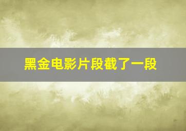 黑金电影片段截了一段