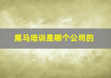 黑马培训是哪个公司的