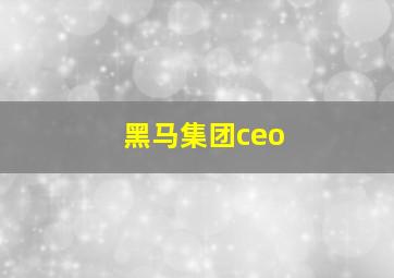 黑马集团ceo