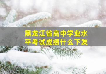 黑龙江省高中学业水平考试成绩什么下发