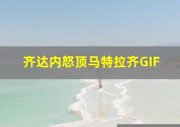 齐达内怒顶马特拉齐GIF