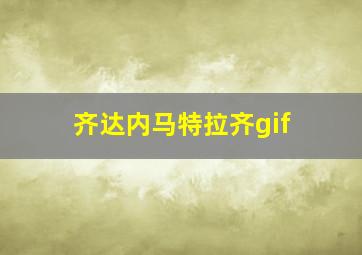 齐达内马特拉齐gif