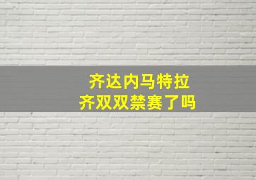 齐达内马特拉齐双双禁赛了吗