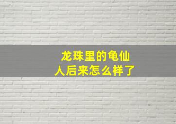 龙珠里的龟仙人后来怎么样了